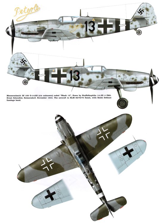 Messerschmitt-Bf-109G14AS-Erla-14.JG4-Black-13-Ernst-Scheufele-Reinersdorf-Germany-Oct-1944-0D.thumb.jpg.96a872e2dfb22aeaec19645d8469bacc.jpg