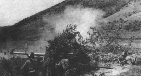 Romanian50mmPaK38intheKubansummer1943.jpg.3024f5484073c84ccfe63755d25d706e.jpg