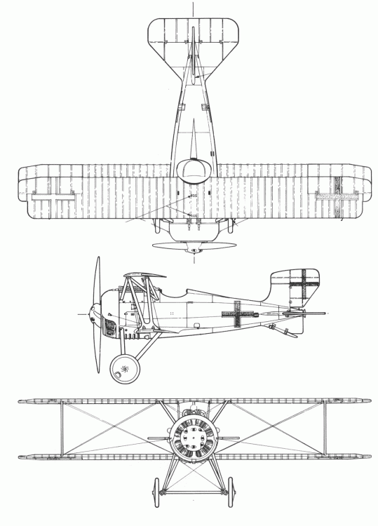 SSD4 BLUEPRINT BLANK.gif