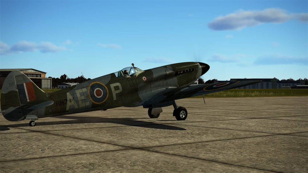 Spitfire MkXIV - 402 Sqn. RCAF spring 45 'P'.jpg
