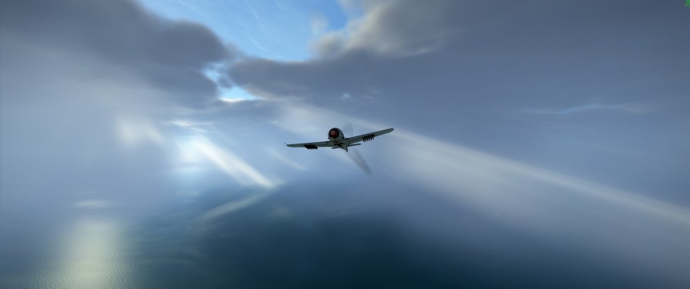 Fw190F8cloudyMorning004.jpg