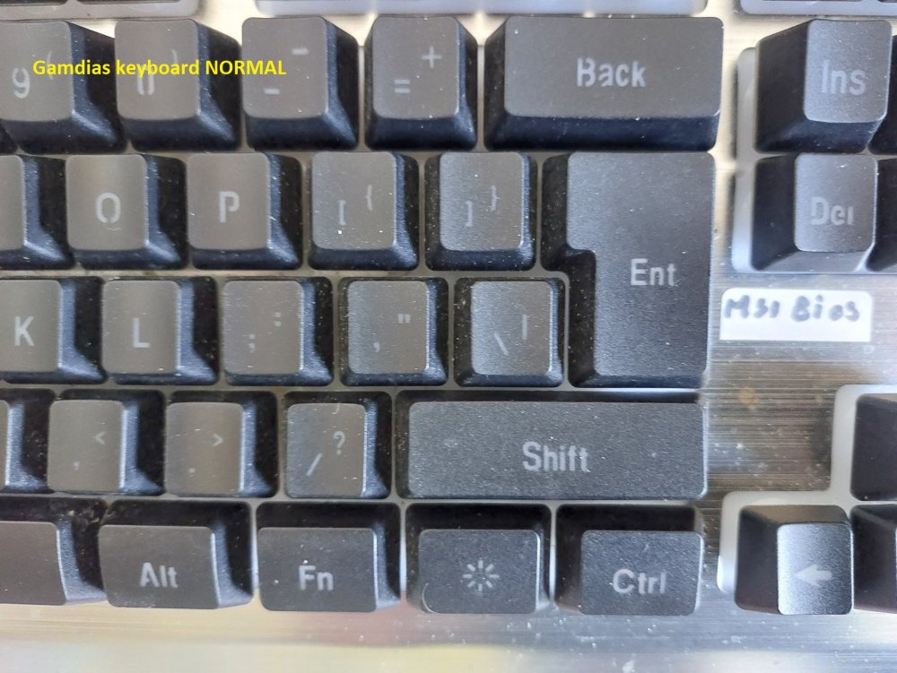Gamdiaskeyboerd.thumb.jpg.a602d4cd879102863a93d674415c0f1b.jpg