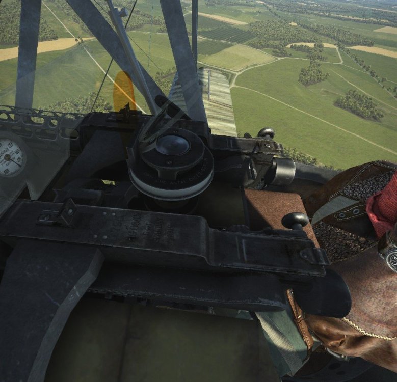 OIGEE SIGHT FROM LEFT.jpg