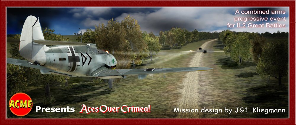 Acme Aces over Crimea 2 reduced.jpg