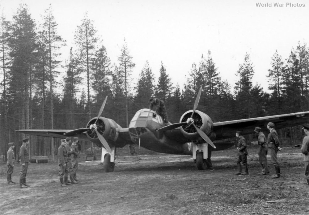 4Finnish_Blenheim.thumb.jpg.103a50c0a6446795f2db5c026b757b76.jpg