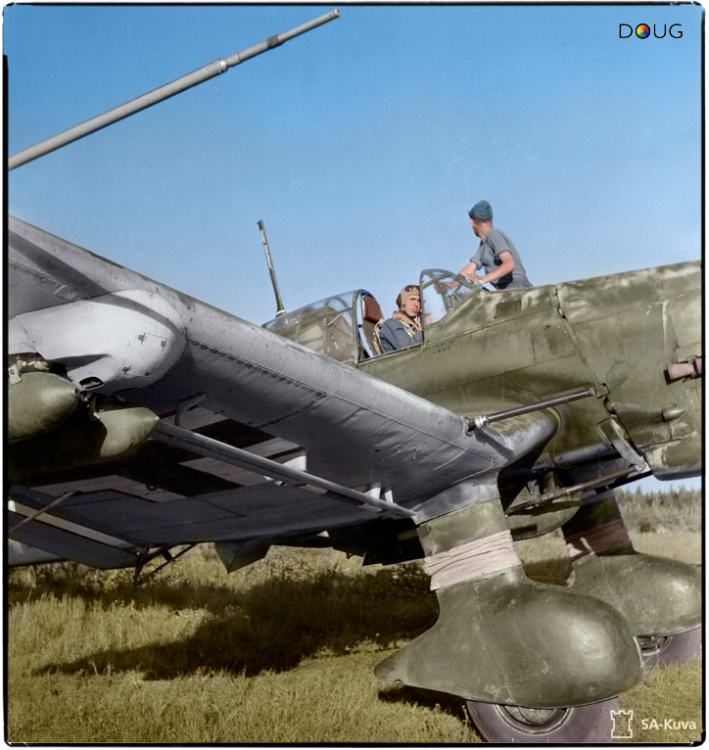 Kuhlmey stuka.png