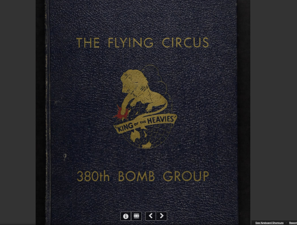 380th BG the flying circus.png