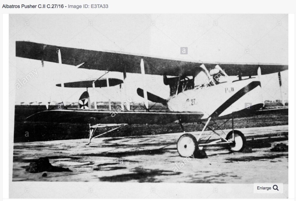 Albatros CII.jpg