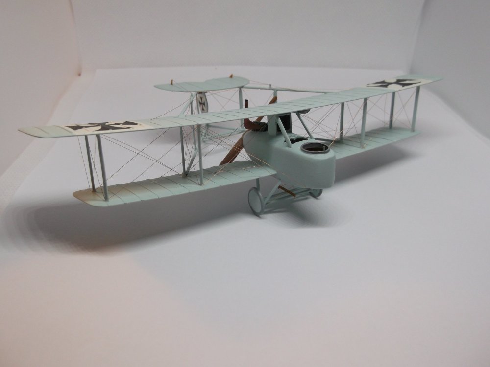 Albatros CII Model.jpg