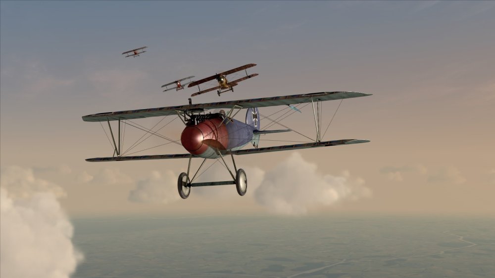 Albatros attack.jpg