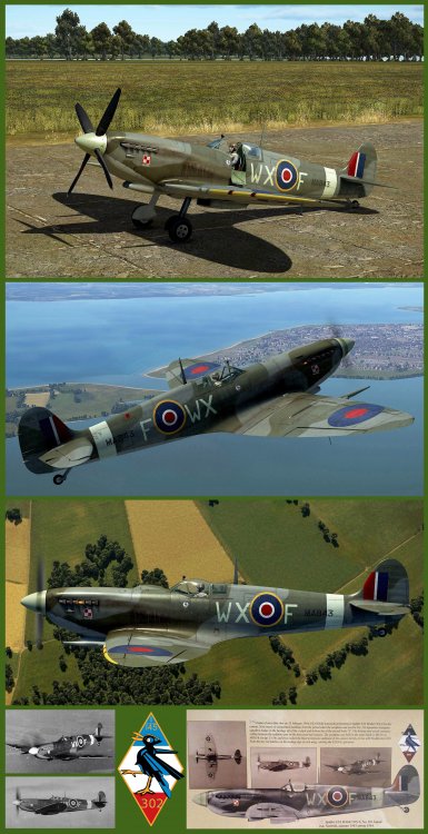 Pubblicazione SpitfireMkIXb_Polish_302th-Sq.jpg