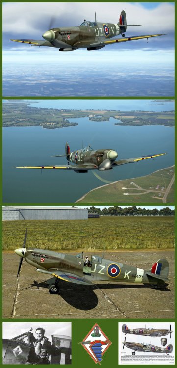 Pubblicazione SpitfireMkIXc_Polish_306th-Sq.jpg