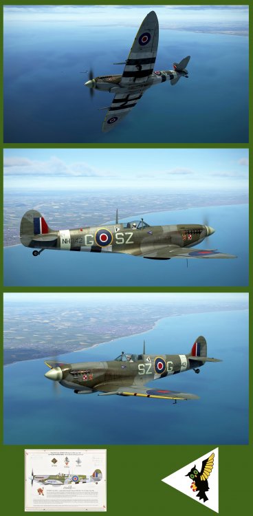 Pubblicazione SpitfireMkIXc_Polish_316th-Sq.jpg