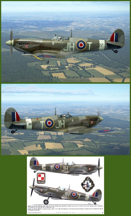 Pubblicazione SpitfireMkIXc_Polish_317th-Sq.jpg