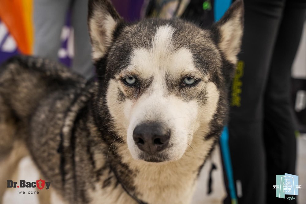 WhatsApp Image 2024-03-04 at 10.30.42_683fba36.jpg