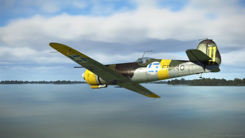 IAR80_as_DXXI_FI_4.jpg