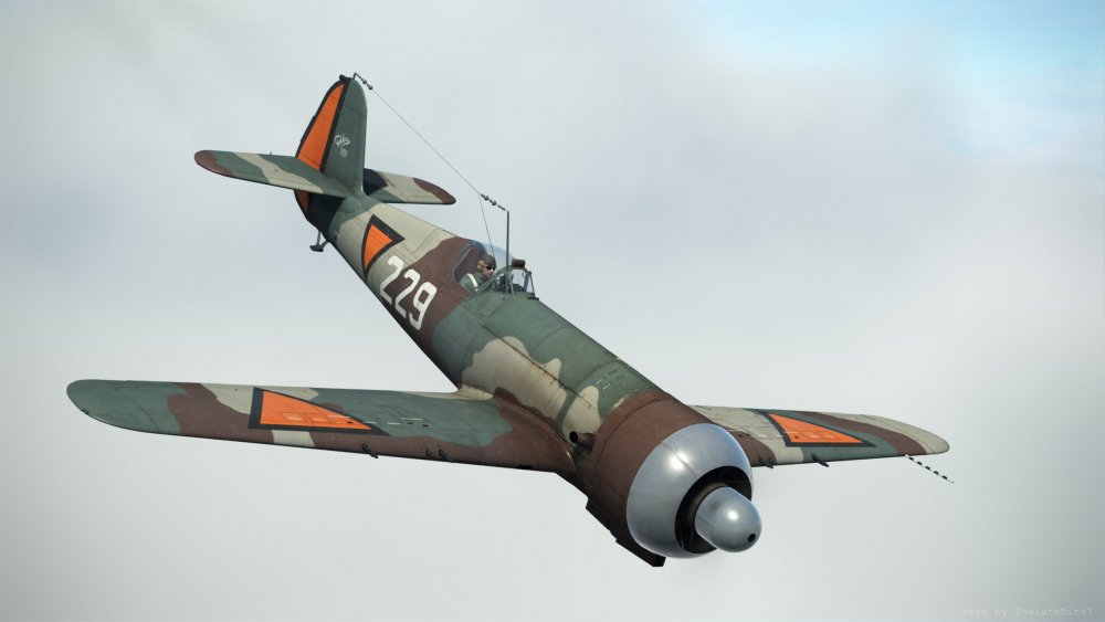 IAR80_as_DXXI_NL_1.jpg