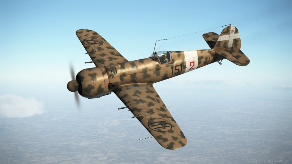 IAR80_as_G50_1.jpg