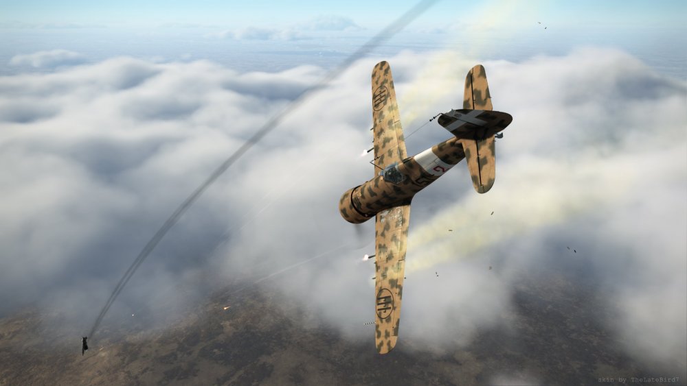 IAR80_as_G50_3.jpg