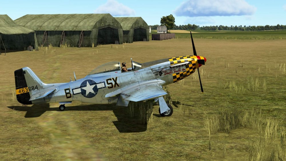 P-51D-15-NA Double Trouble 2 -IS-1.jpg