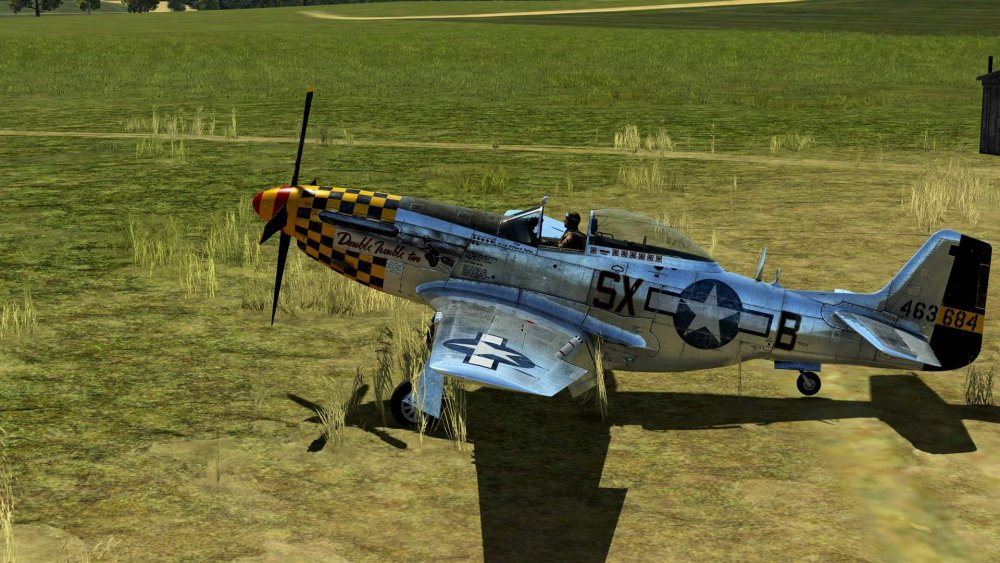 P-51D-15-NA Double Trouble 2 -IS-2.jpg