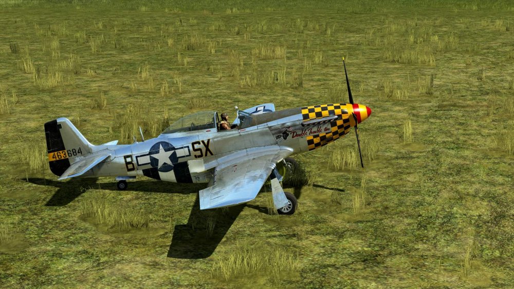 P-51D-15-NA Double Trouble 2 +IS-1.jpg