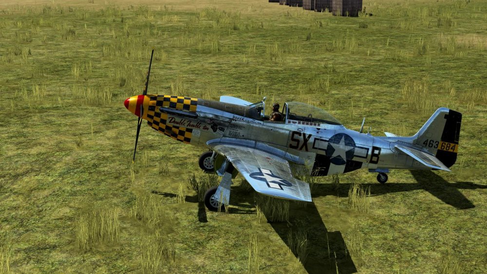 P-51D-15-NA Double Trouble 2 +IS-2.jpg