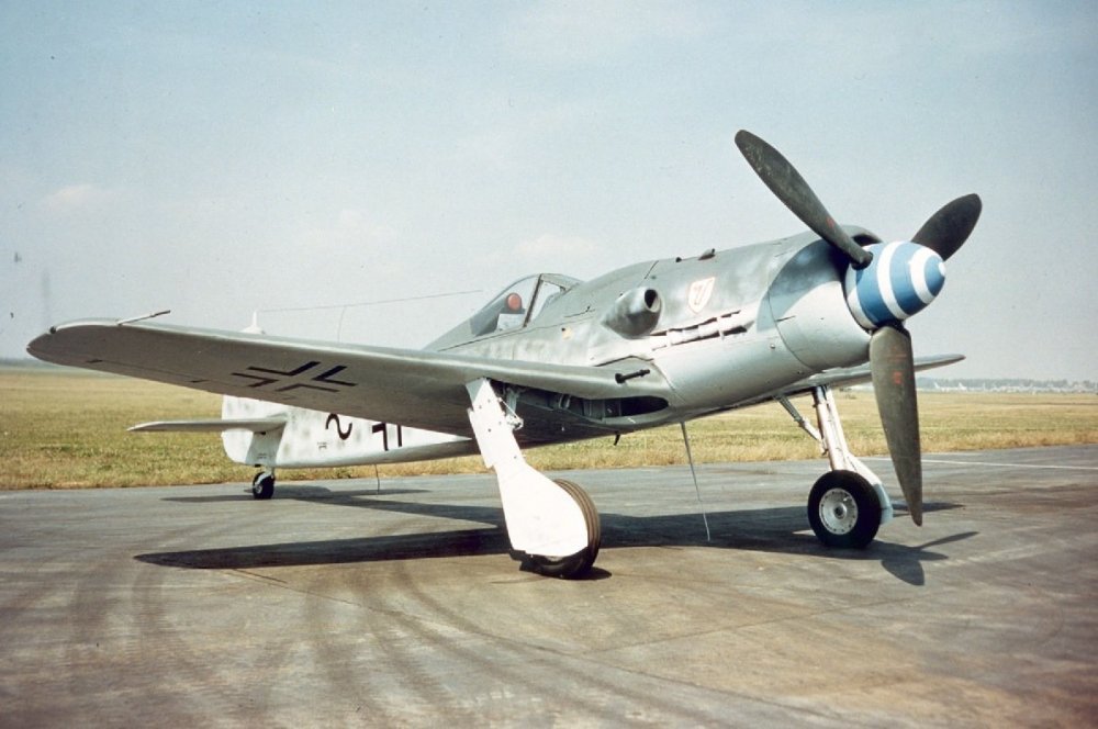 Fw-190D.thumb.jpg.e2b987bb68f664f677770c4d80436b2e.jpg