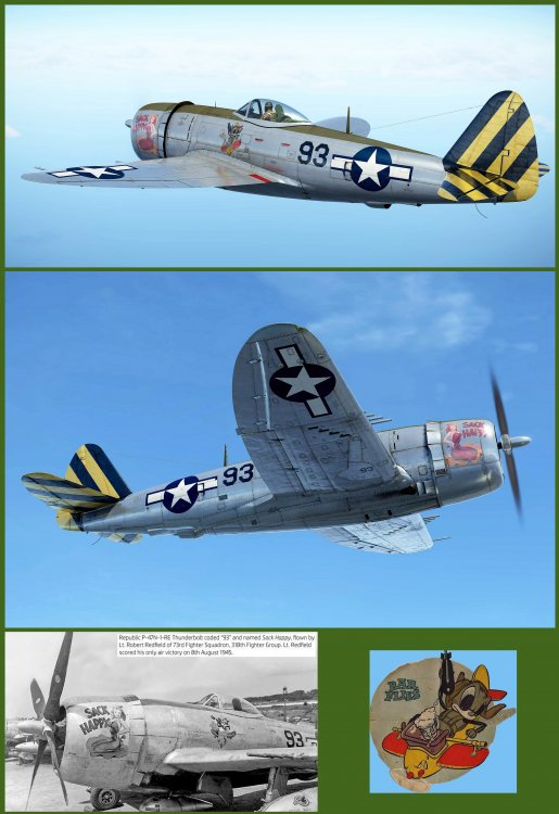 Pubblicazione_P-47N_Snack Happy.jpg