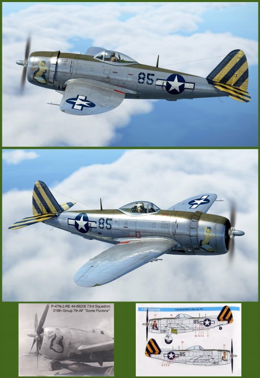 Pubblicazione_P-47N_Some Punkins.jpg