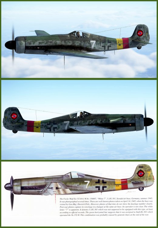 Pubblicazione_Ta152H0_7 White_W.Nr.150007.jpg