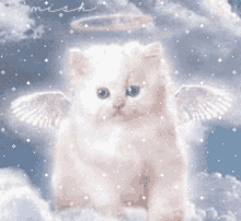 angelcat.gif.760f6e7ad25c953ebd1ab5f0a2080f45.gif