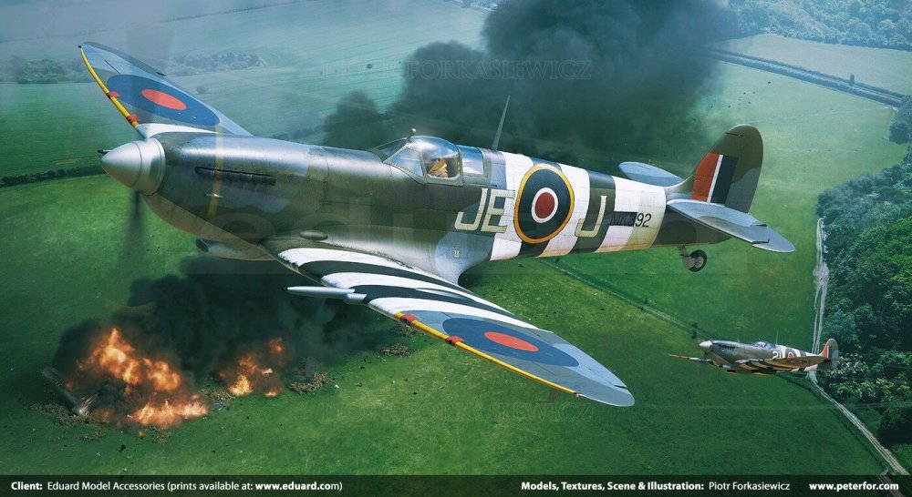 piotr-forkasiewicz-spitfire-ix.jpg