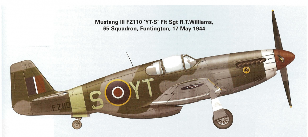 17 May report 03 65 squadron.PNG