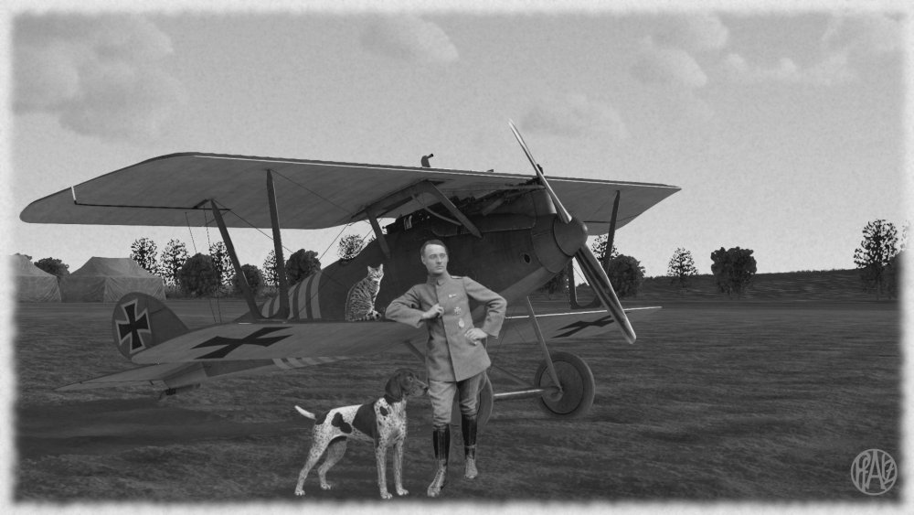 Pilot Pfalz mit Katze.jpg