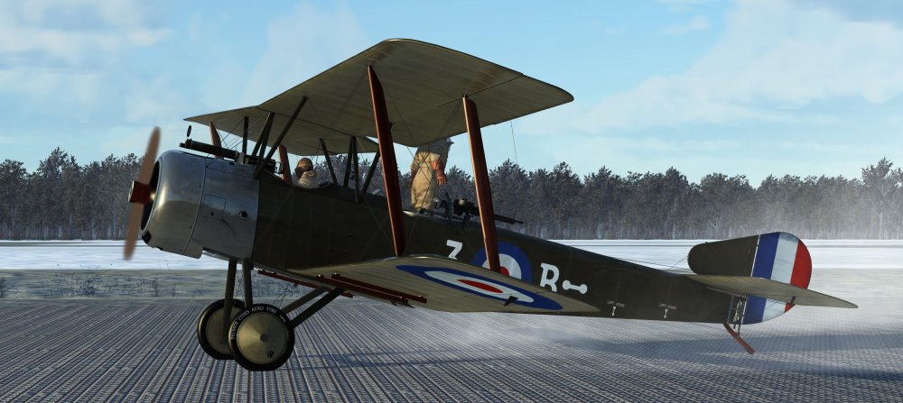 strutter gunner standing.JPG