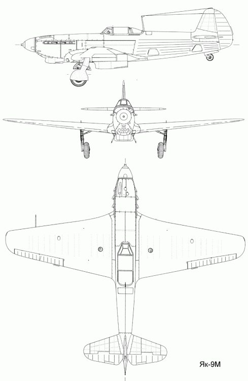 yak9m_1.thumb.gif.c7b41f8ce5824e108c2e4587ef21adbe.gif