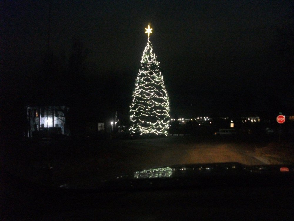 Christmas Tree Janet rd.JPG