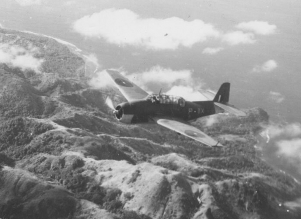 Avengers Sqn 849 Meridian.png