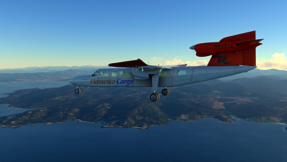 Microsoft Flight Simulator - 1.38.2.0 06_03_2025 01_31_07.jpg