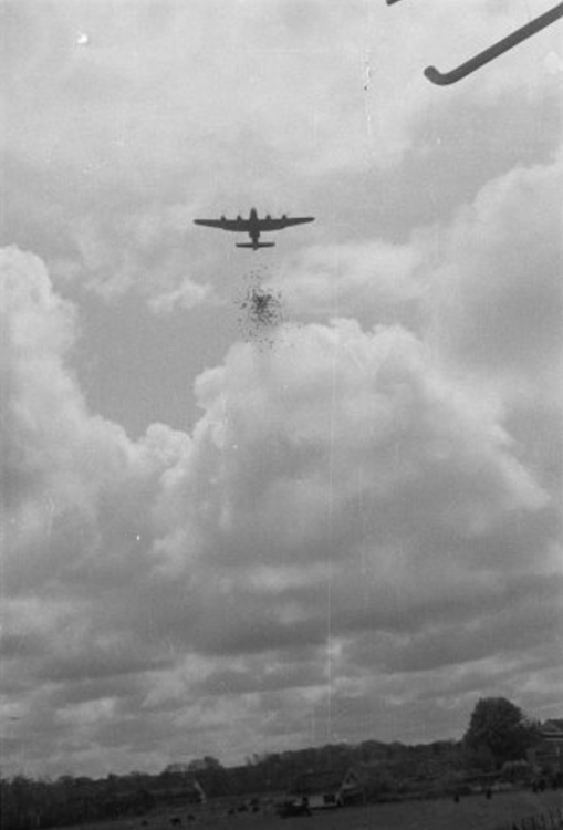 Lancaster Duindigt.png