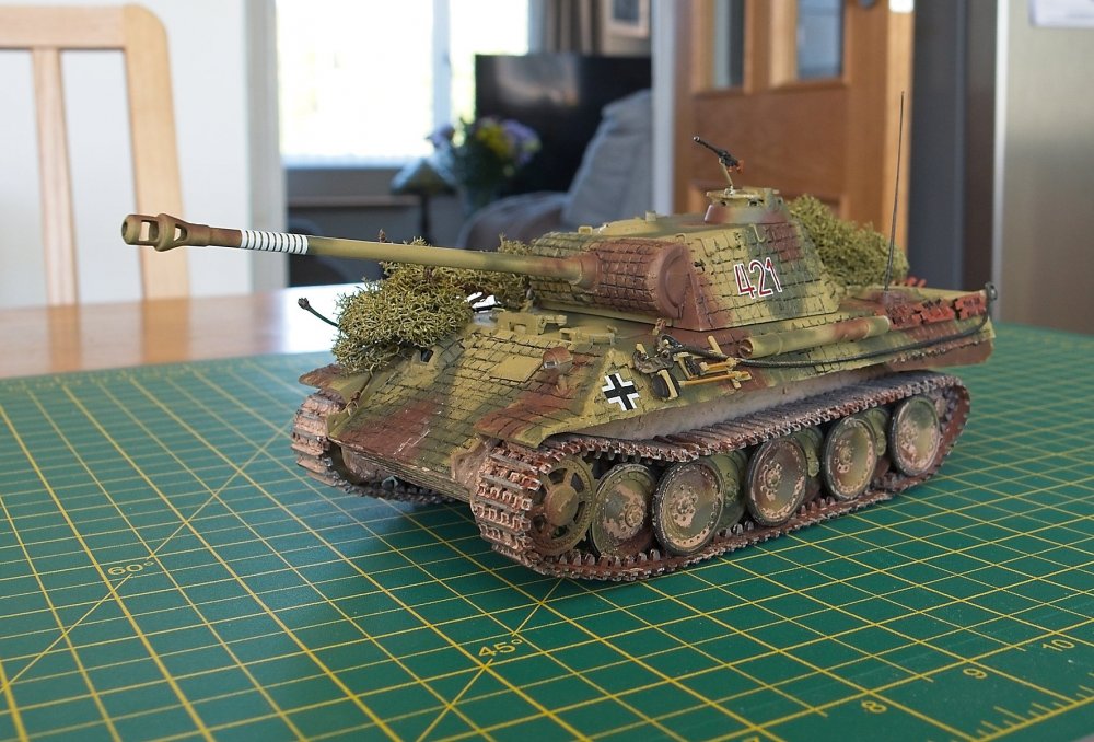 My Little Panther 0.jpg