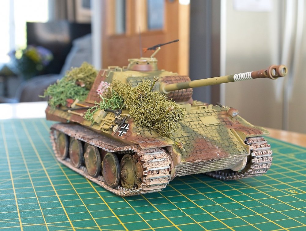 My Little Panther 1.jpg