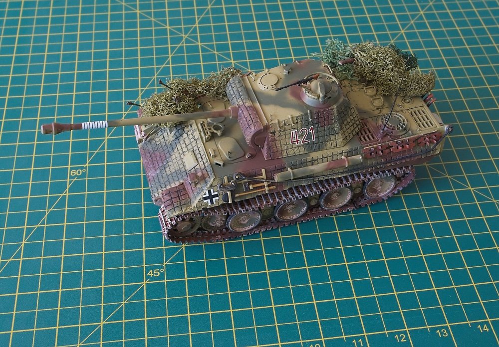 My Little Panther 2.jpg