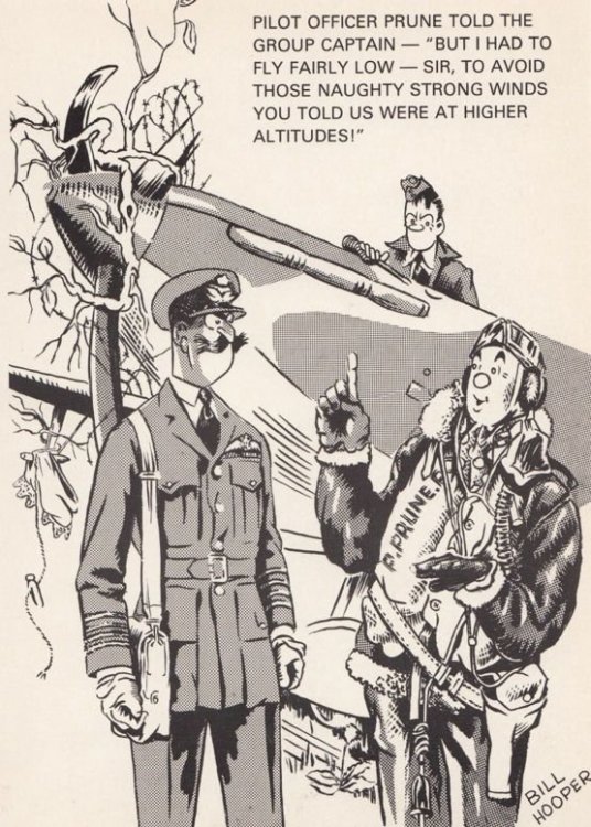 raf-plane-disaster-crash-in-tree-wind-miscalcuation-ww2-military-comic-postcard-34892-p.jpg