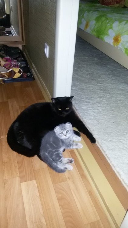 2015-08-13 21-02-13.JPG