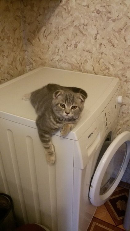 2015-09-16 20-05-31.JPG