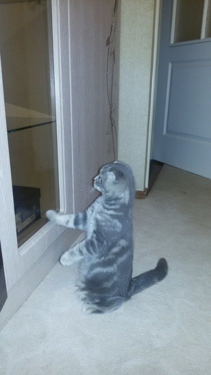 2015-09-20 01-33-48.JPG