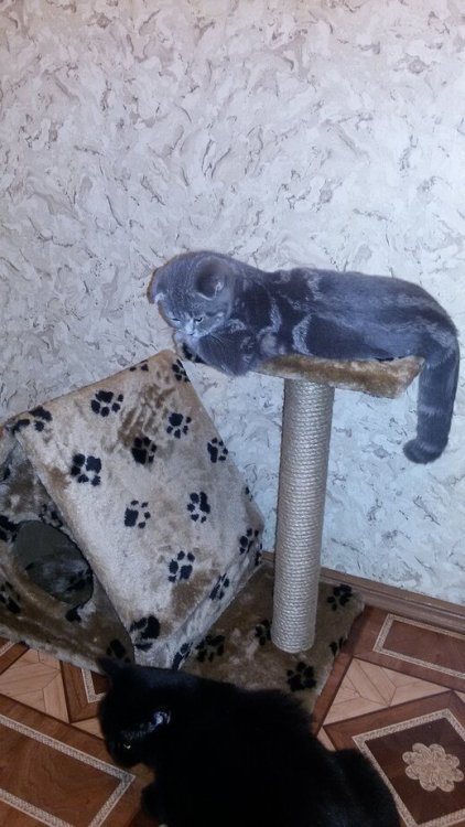 2015-10-20 20-48-55.JPG