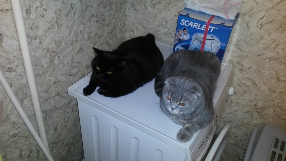 2017-02-20 10-09-19.JPG